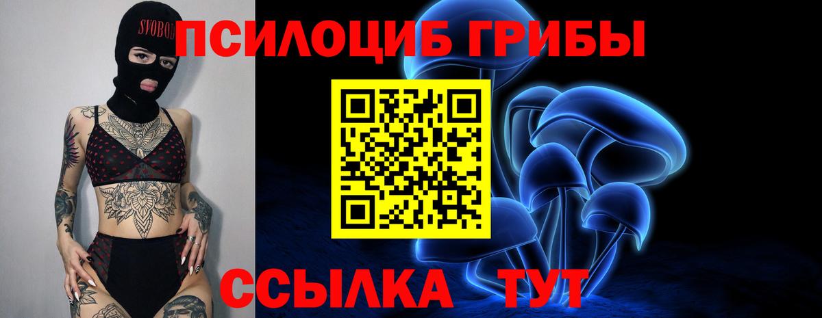 Псилоцибиновые грибы мицелий  Вход с VPN  дарнет шоп  Туапсе  Псилоцибиновые грибы ЛСД 